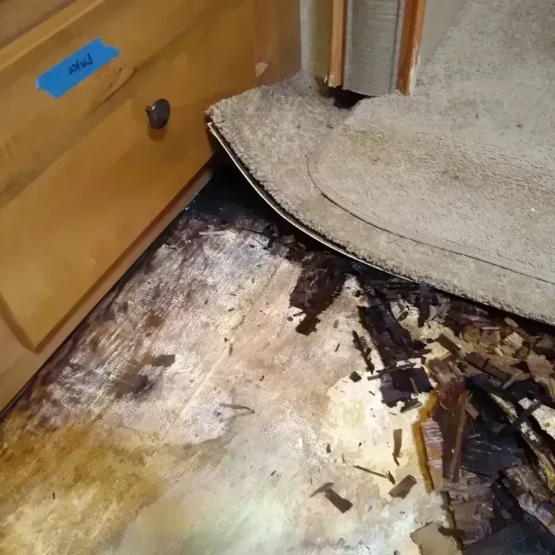 Wood Floor Water Damage in West Clarkston-Highland, WA